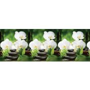 Фартук для кухни Орхидея белая 3000х600х1,5 мм